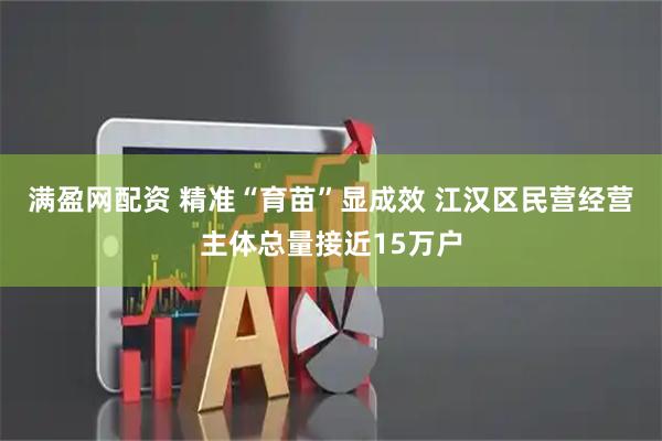 满盈网配资 精准“育苗”显成效 江汉区民营经营主体总量接近15万户